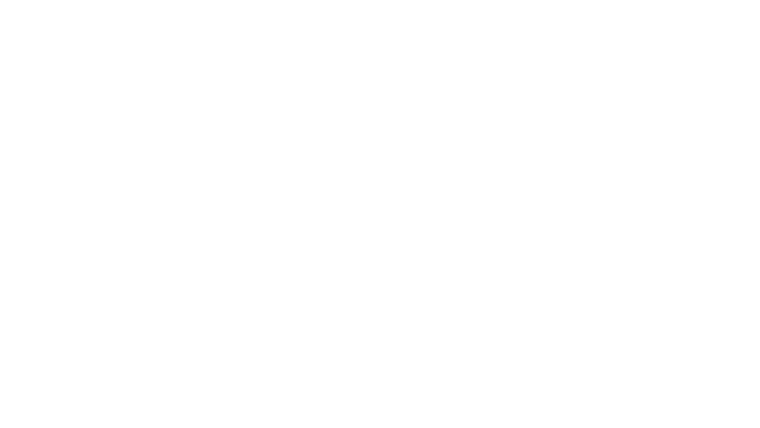 TS Logo Display
